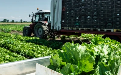 The Time To Re-Define Green