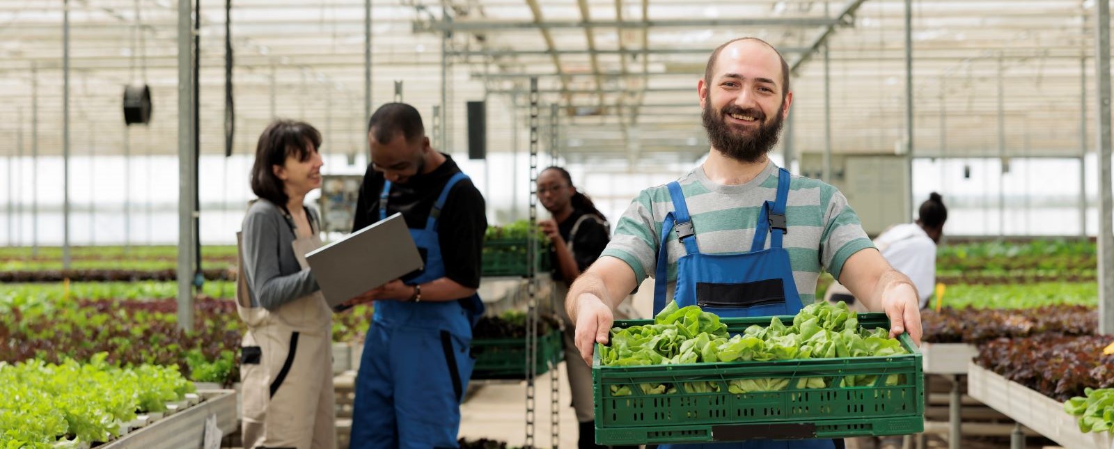 Fresh Fruits & Vegetable