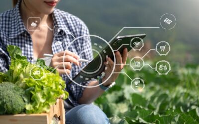 Navigating the Roadblocks to Green Technology