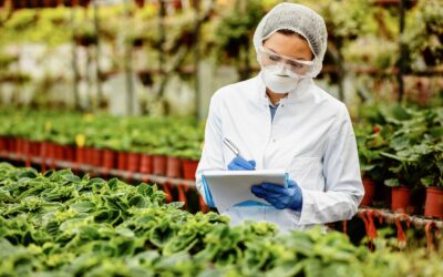 Sustainable Food Safety: The Role of Green Technology