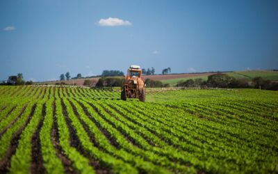 The Future of Farming: Sustainable Agriculture Practices