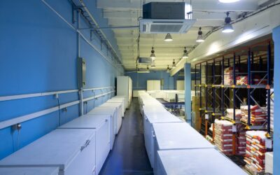 The Science and Benefits of Blast Freezing